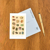 Vertical Rock Collection Postcard
