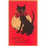 Greetings For Halloween, Cat and Pumpkin, Postcard