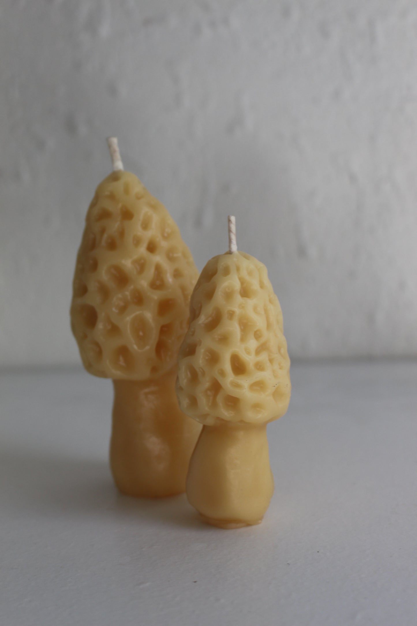 Morel Mushroom Beeswax Candles