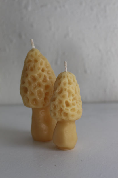 Morel Mushroom Beeswax Candles