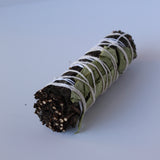 Miniature Lemon Balm & Peppermint Herb Bundle