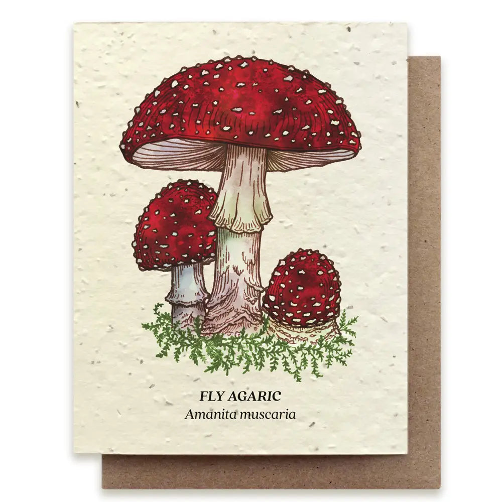 Fly Agaric Mushroom Plantable Wildflower Seed Card