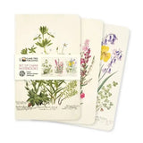 Royal Botanic Garden Edinburgh Set of 3 Mini Notebooks