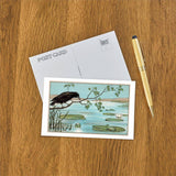 The Crow and the Frog Postcard