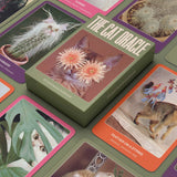 The Cat Oracle: 33 Card Deck & Guidebook
