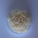 Opening Bloom Beeswax Candle