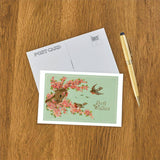 Best Wishes, Bird House Postcard