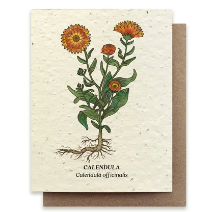 Calendula Plantable Wildflower Seed Card