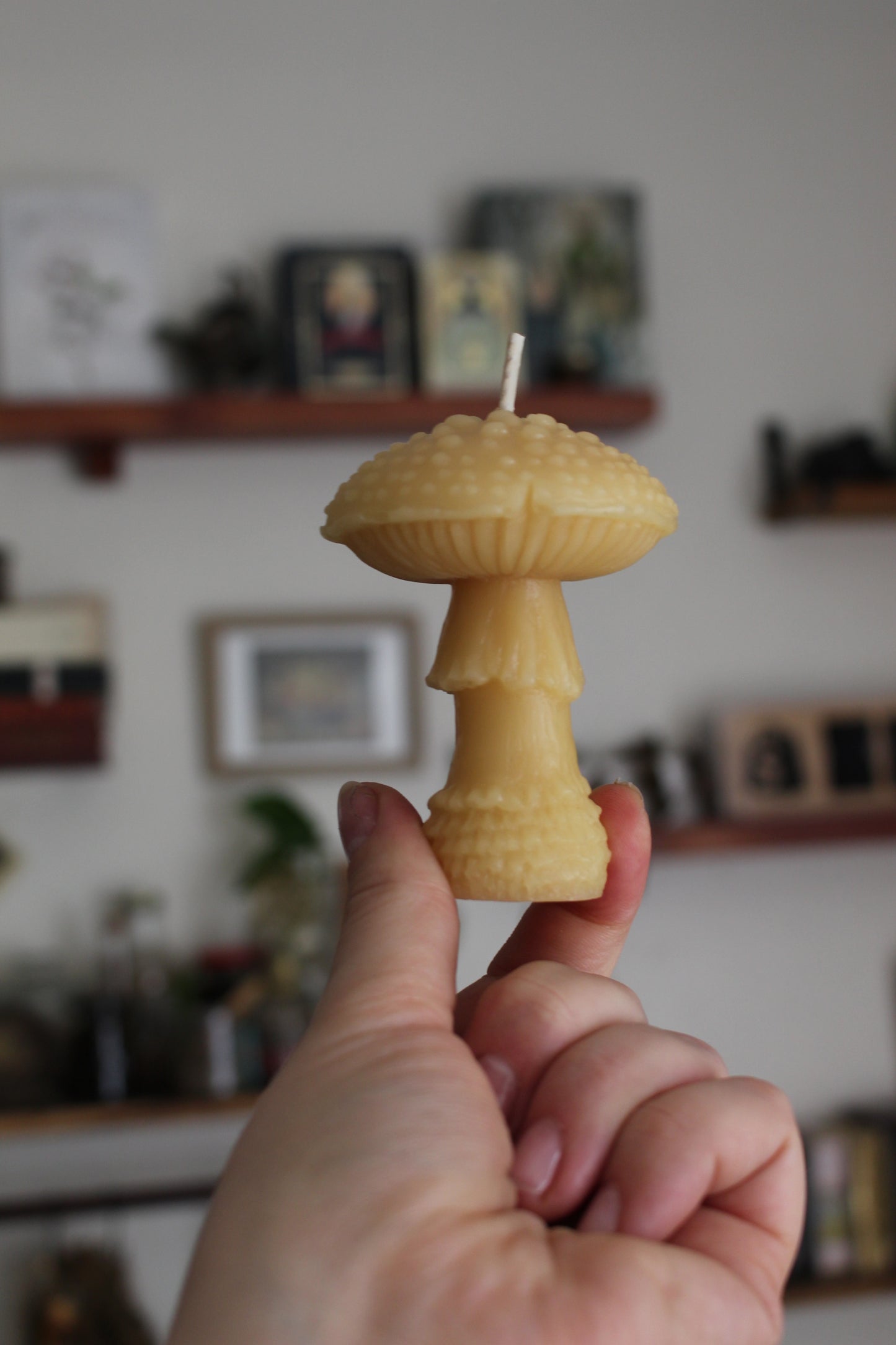 Amanita Mushroom Beeswax Candle