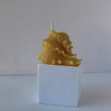 Seashell Beeswax Candle