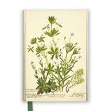 Charlotte Cowan Pearson: Stitchworts, Woodruff Journal