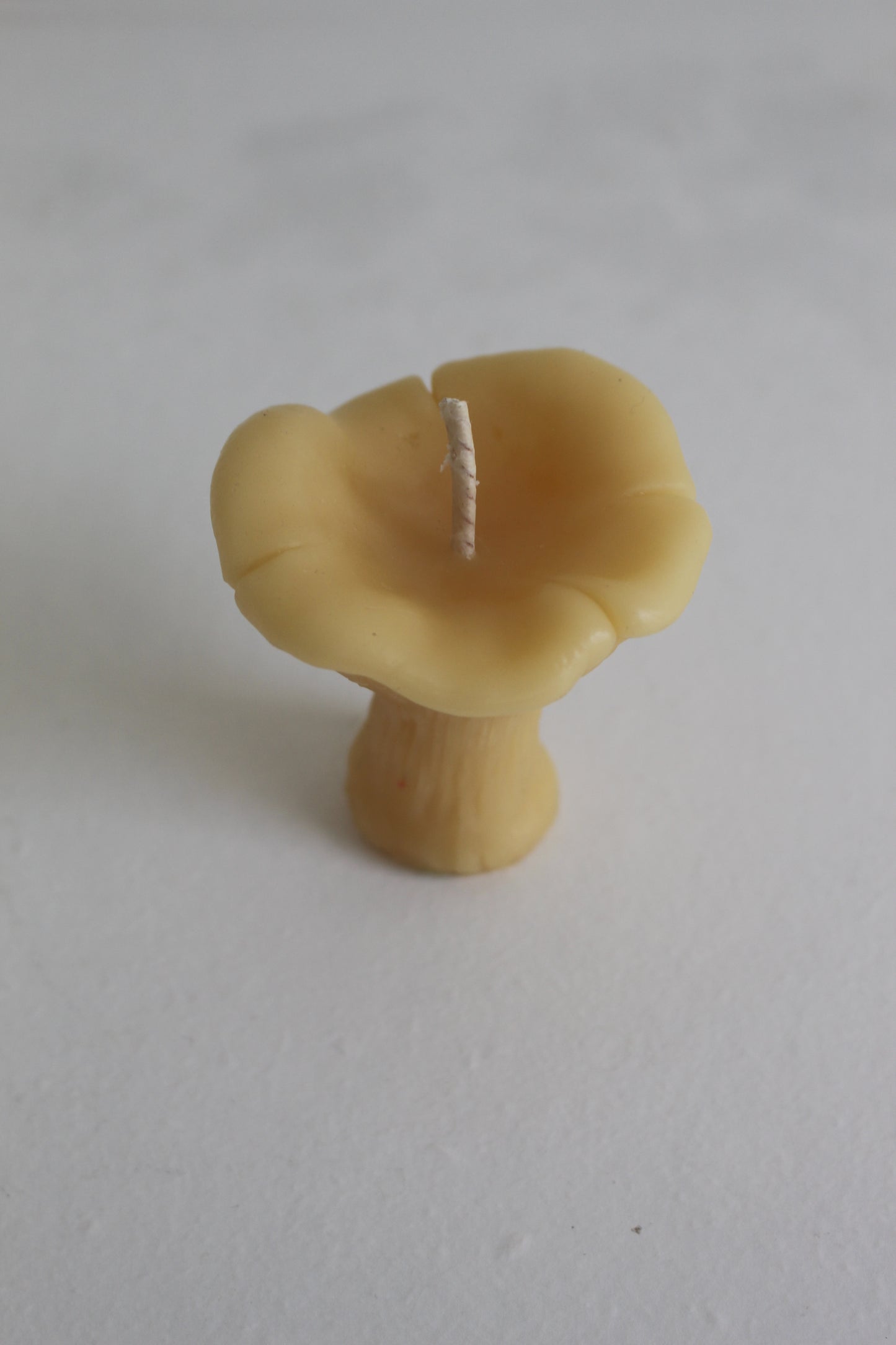 Chanterelle Mushroom Beeswax Candles