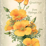 Postcard CC-69 Season's Greetings from Topanga