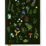 Anna Stead: The Forest Floor Journal