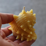 Seashell Beeswax Candle