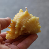 Seashell Beeswax Candle