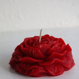 Opening Bloom Beeswax Candle