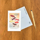Various Mushrooms Postcard