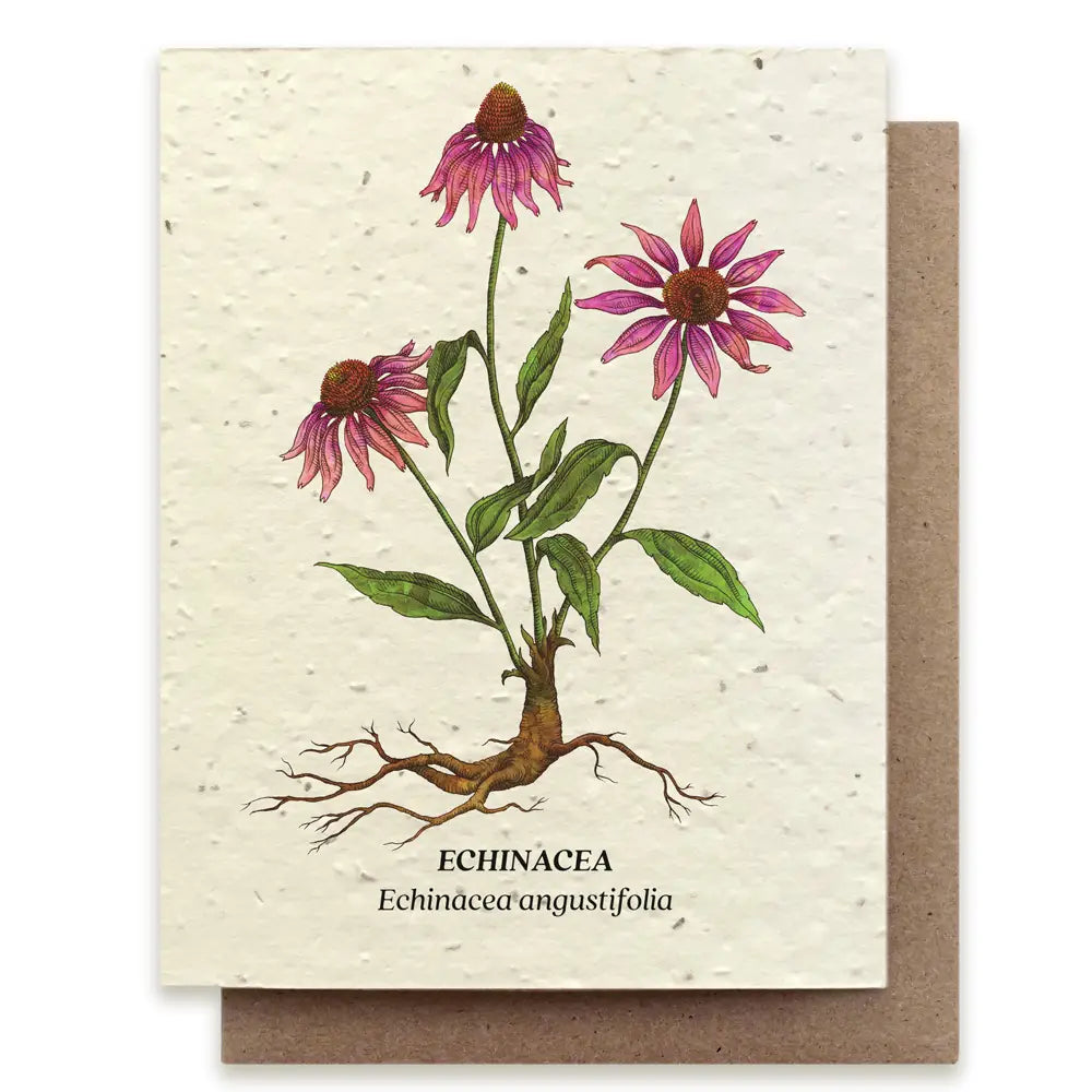 Echinacea Plantable Wildflower Seed Card