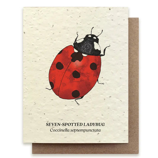 Seven-Spotted Ladybug Plantable Wildflower Seed Card