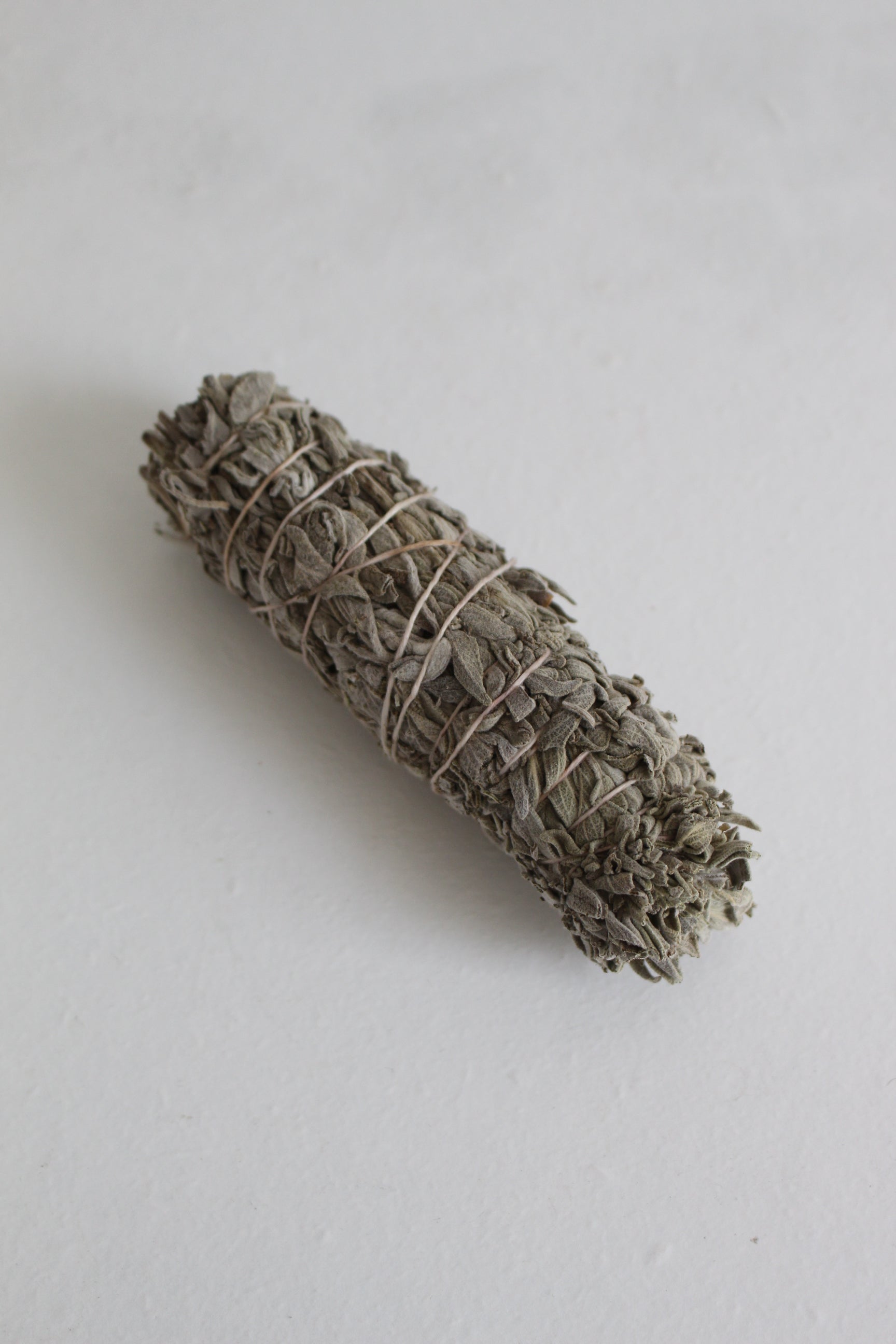 Miniature Common Sage Bundle – Jewitches