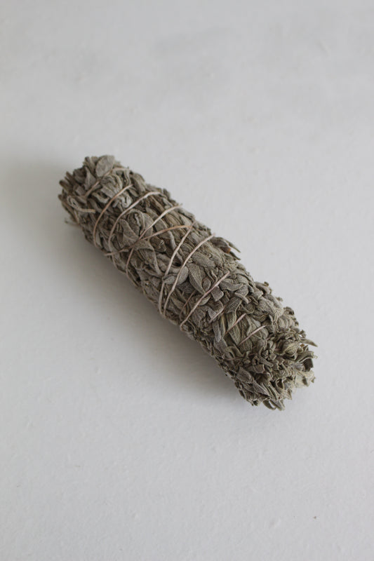 Miniature Common Sage Bundle