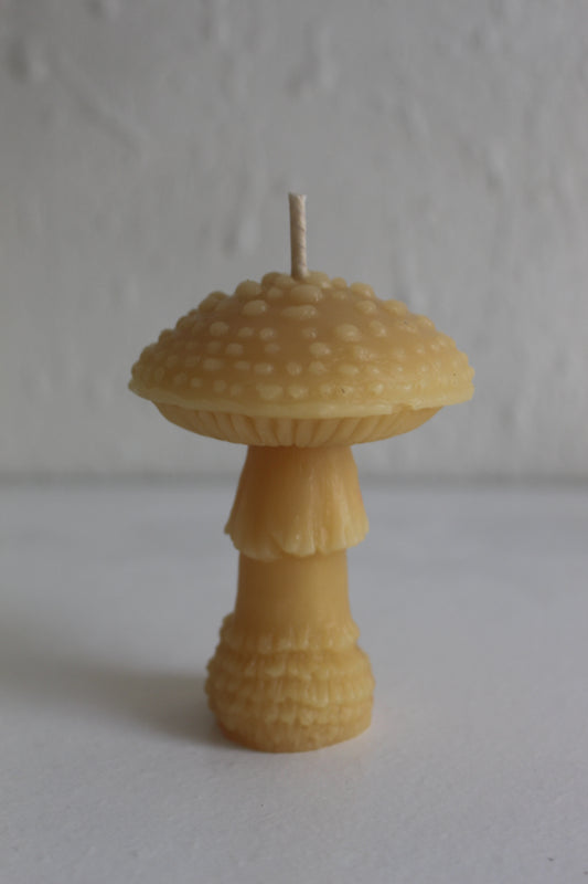 Amanita Mushroom Beeswax Candle