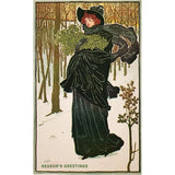 Harvesting Mistletoe Postcard