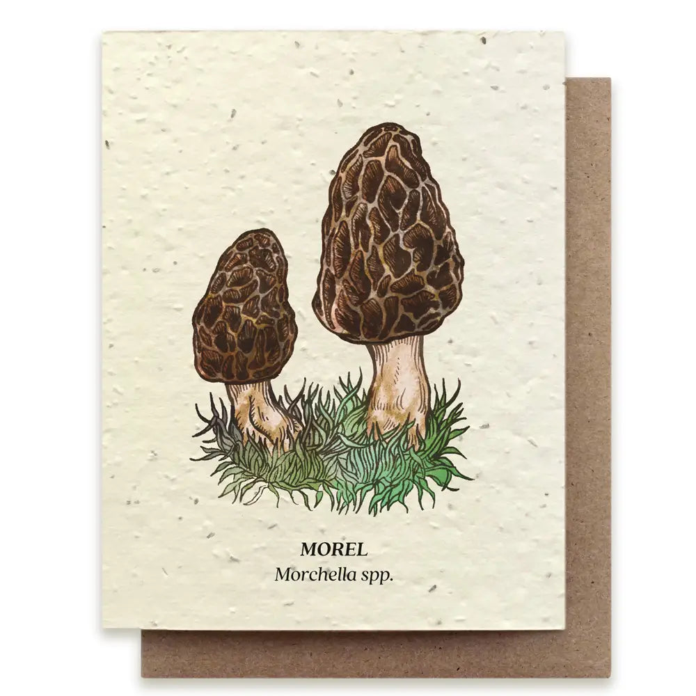 Morel Mushroom Plantable Wildflower Seed Card