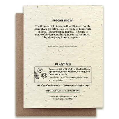 Echinacea Plantable Wildflower Seed Card