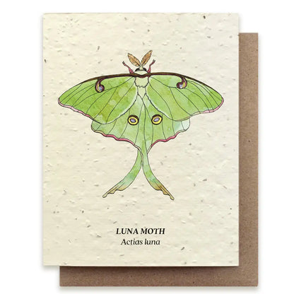 Luna Moth Plantable Wildflower Seed Card