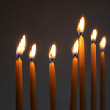 Jewitches Beeswax Hannukah Candles