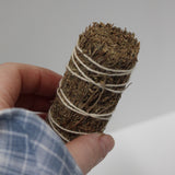 Miniature Thyme Bundle