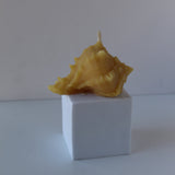 Seashell Beeswax Candle