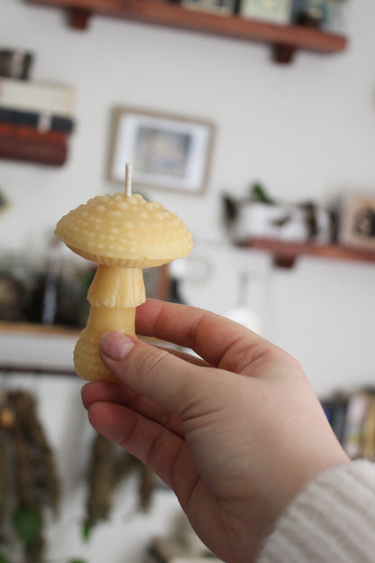 Amanita Mushroom Beeswax Candle