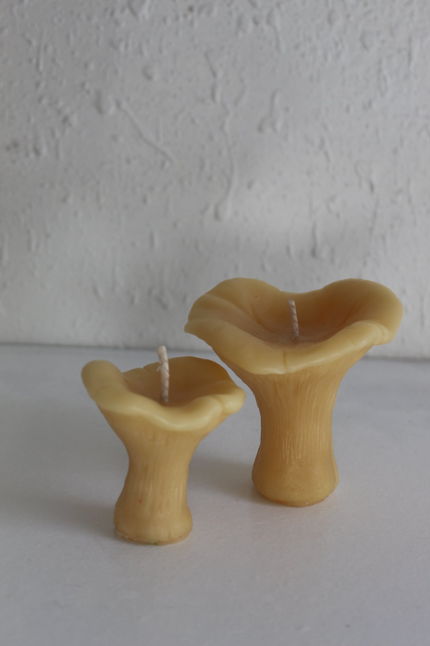 Chanterelle Mushroom Beeswax Candles