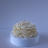 Opening Bloom Beeswax Candle