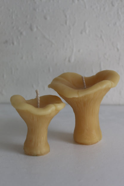 Chanterelle Mushroom Beeswax Candles