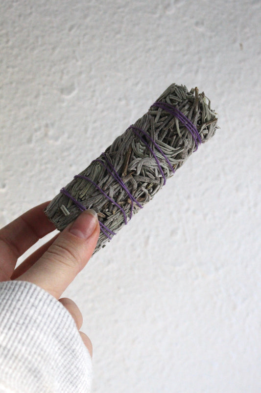 Miniature Lavender Bundle