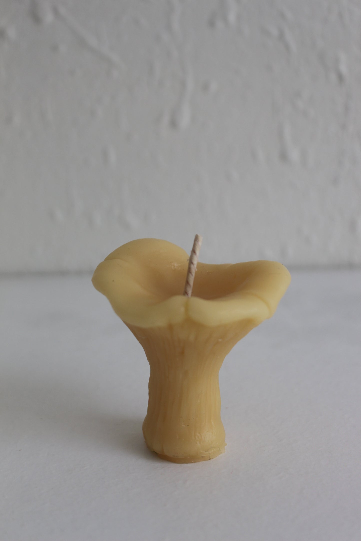 Chanterelle Mushroom Beeswax Candles