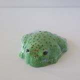 Green Toad Bath Bomb