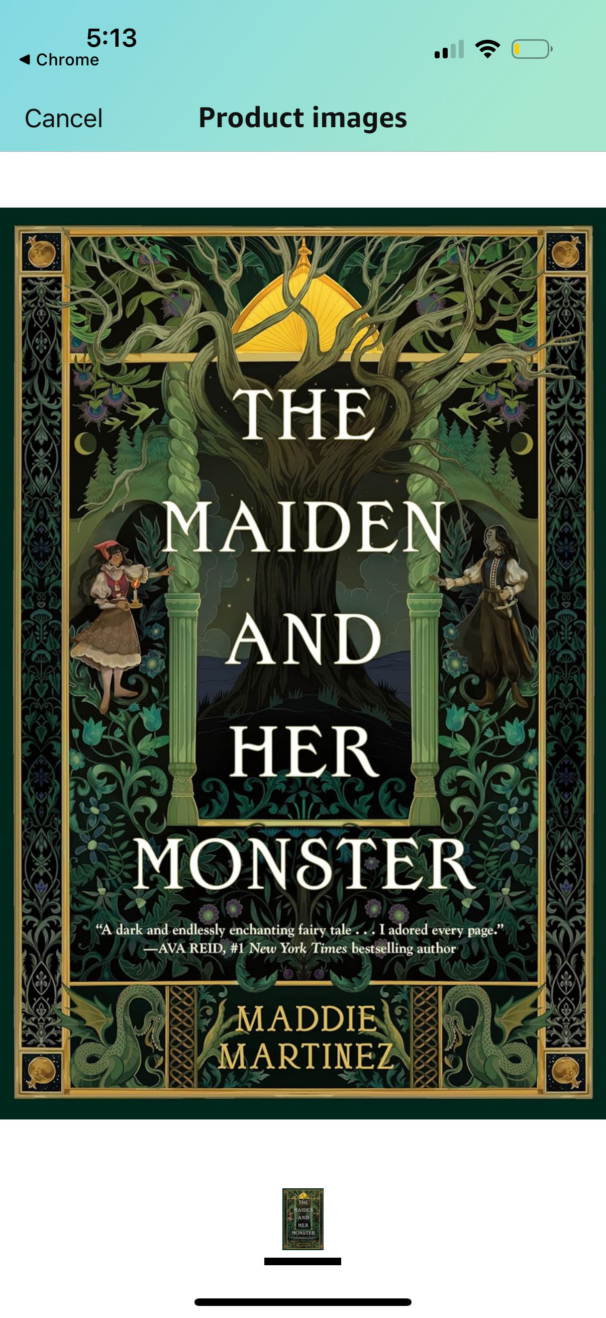 fairytale monsters nyt The Maiden and Her Monster