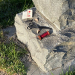 Slide image