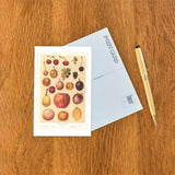 Postcard Familiar Fruits