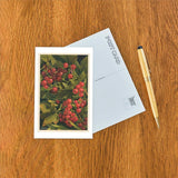 Red Currants Postcard