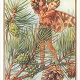 Pine Tree Fairy Postcard
