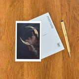 Enchantress Sitting on Moon Postcard