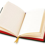 Anna Stead: The Forest Floor Journal
