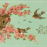 Best Wishes, Bird House Postcard