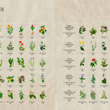 Astro Herbalism